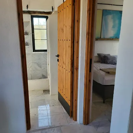 Stone House With Pool Feriehus Mugla